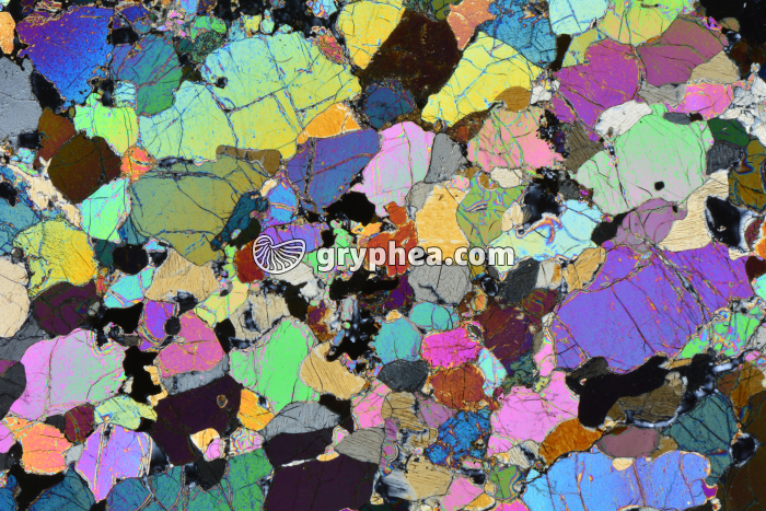 Péridotite LPA x3,5 - gryphea.com